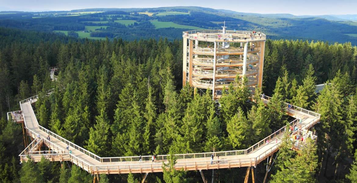 Apartment Lipno Sumava Pro 8 Hostu Липно над Вълтава Екстериор снимка